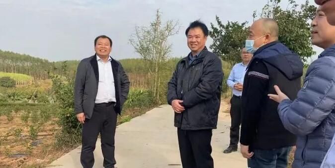 关于灵山县举办茶产业高质量发展能力提升培训班的相关信息(5)