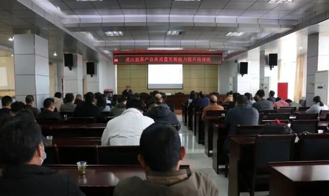 关于灵山县举办茶产业高质量发展能力提升培训班的相关信息(1)