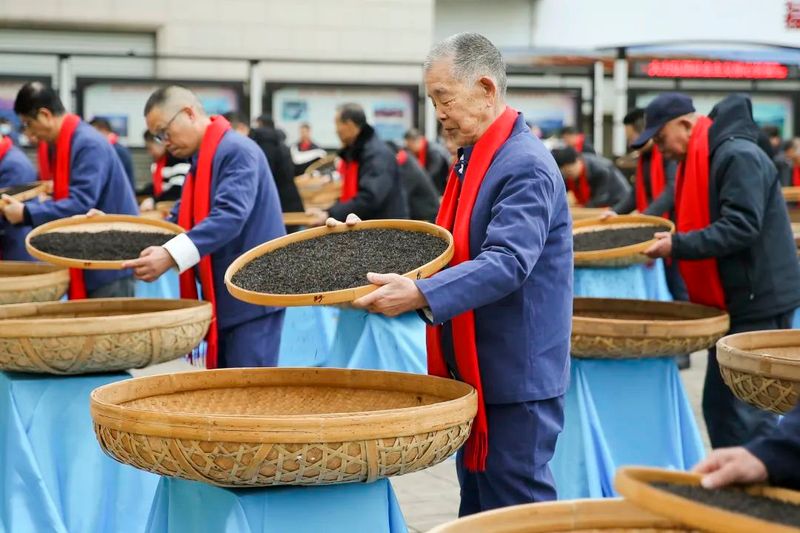 有关于“茶和天下 共享非遗”——“全家福安”坦洋工夫茶文创节暨短视频直播技能大赛成功举办！的相关信息(14)