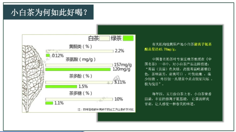 有关于从历史背景到工艺创新，多维解读建阳白茶盛名背后的奥秘的资讯(3)