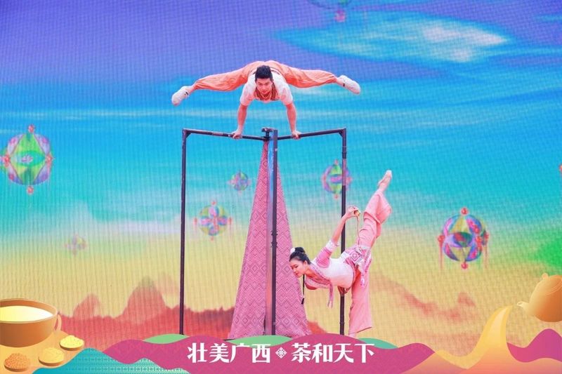 关于广西“六堡茶制作技艺、瑶族油茶习俗”列入联合国教科文组织人类非遗代表作名录宣传展示活动在南宁举行的信息(12)