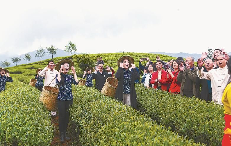有关于武夷岩茶看“中国传统制茶技艺及其相关习俗”的系统性保护及创造性转化、创新性发展的新闻(3)