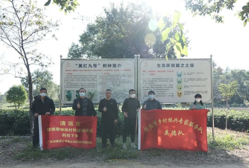 关于科技特派员团队：走进茶园送技术服务茶企助升级的信息(2)
