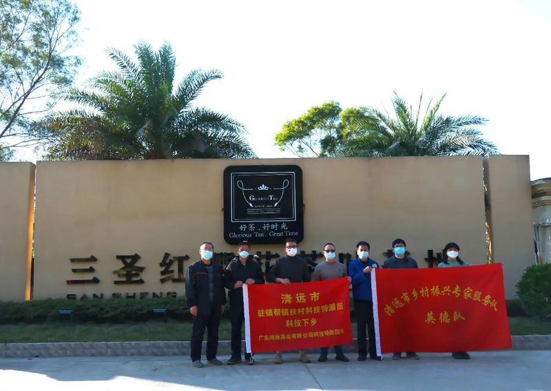 关于科技特派员团队：走进茶园送技术服务茶企助升级的信息(3)