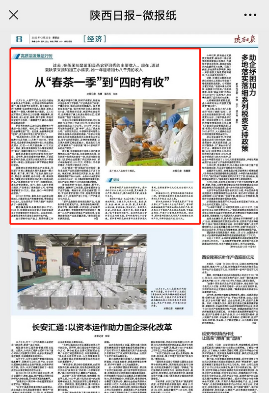 有关于关注紫阳推动茶产业高质量发展的新闻