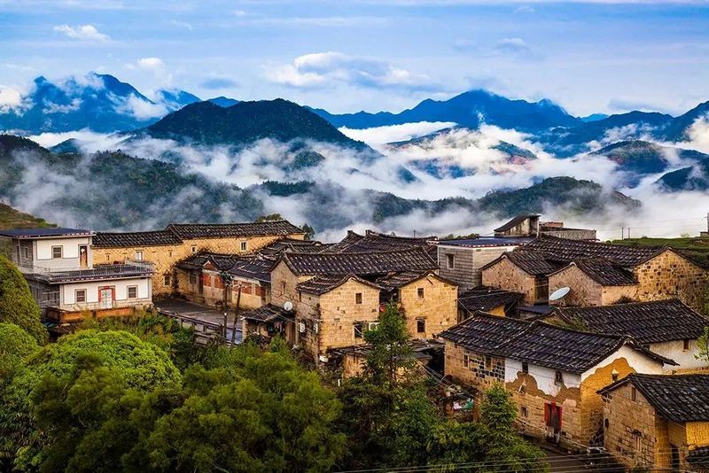 有关于推动茶旅融合，西坪镇的产业振兴之路的消息(1)