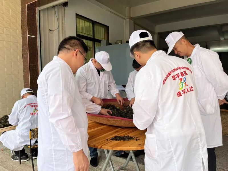 有关于饶平县人社局组织开展2022年度茶叶加工工技能培训，推动饶平茶产业高质量发展的消息(1)