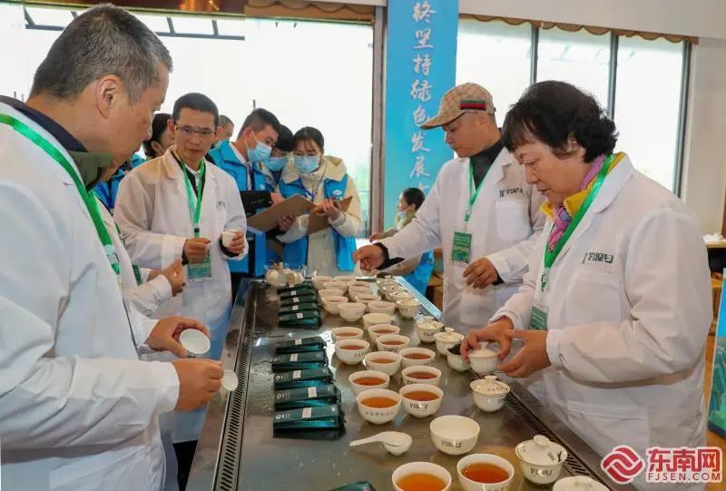 关于“徽茶喝出千亿产值”“聚焦武夷茶非遗”“电力密码赋能茶产业”的相关内容(7)