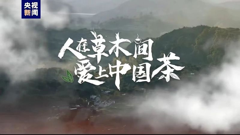 有关于匠心制茶，推进文化自信！的消息(2)