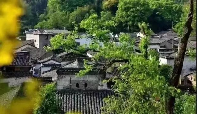 有关于千年茶乡 茶香千年： 浮梁茶助力第五季最美茶艺师全国总决赛的新闻