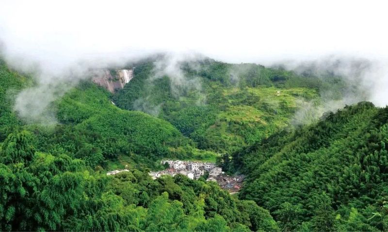有关于千年茶乡 茶香千年： 浮梁茶助力第五季最美茶艺师全国总决赛的新闻(2)