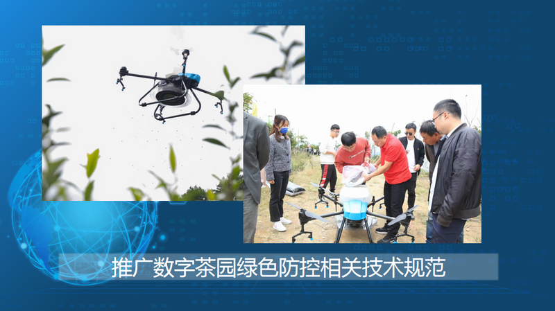 关于新昌：​建立茶产业数字化发展制度体系实现茶产业提质增效的消息(1)