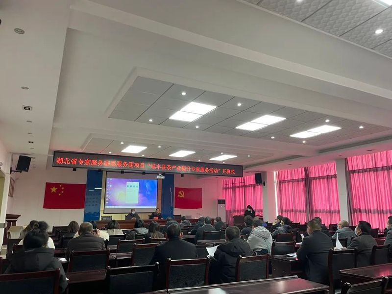 有关于咸丰县积极开展茶产业提升专家服务活动的相关内容(1)