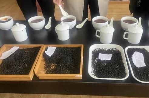 关于《精制藏茶-严道古茶》团体标准征求意见稿研讨会召开的相关信息(1)
