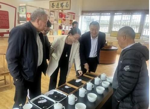 关于《精制藏茶-严道古茶》团体标准征求意见稿研讨会召开的相关信息