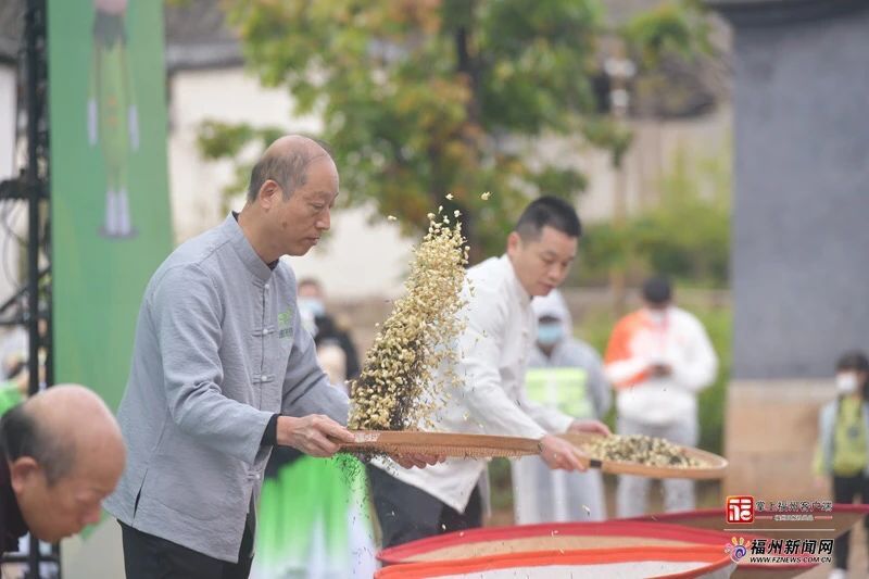 有关于首届中国茶叶交易会“三茶统筹”发展高峰论坛成功举办的相关内容(13)