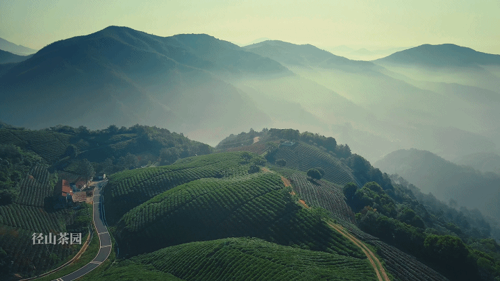 关于聚焦茶非遗！访古寻踪，赴一场径山茶宴的内容(2)