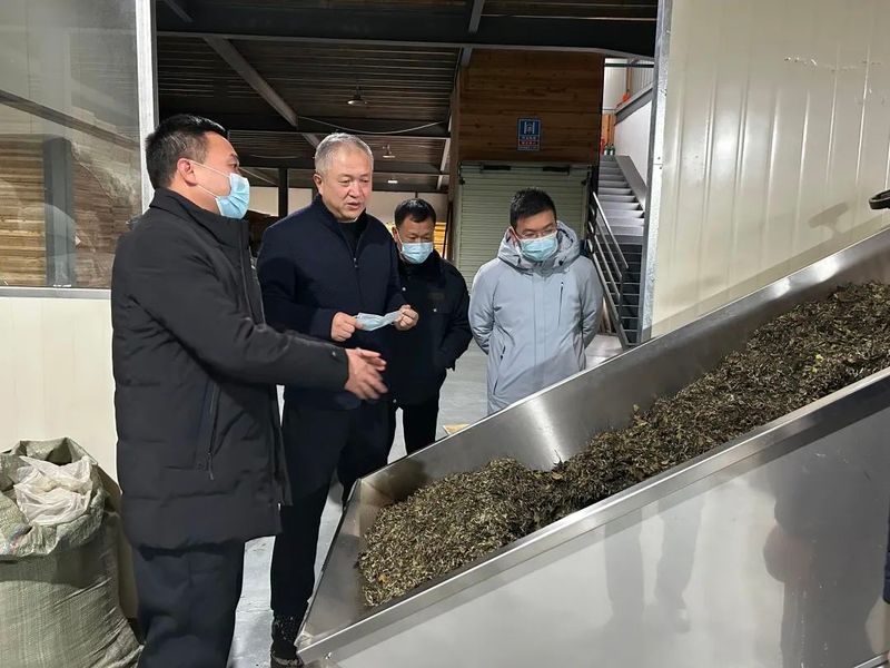 有关于福鼎市人大常委会主任蔡梅生率队赴管阳调研茶产业工作的新闻