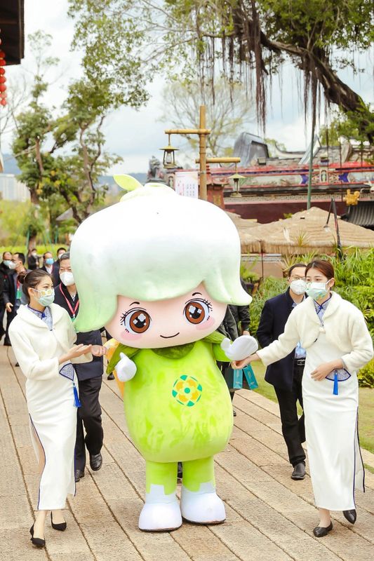 关于以花为媒，以茶会友，福州茉莉花茶再次荣耀世界！的信息(16)