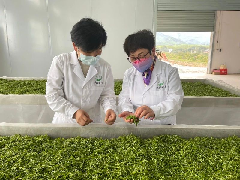 有关于武义县以银慧赋能“一号行动” 彰显新时代银辉担当的消息(2)