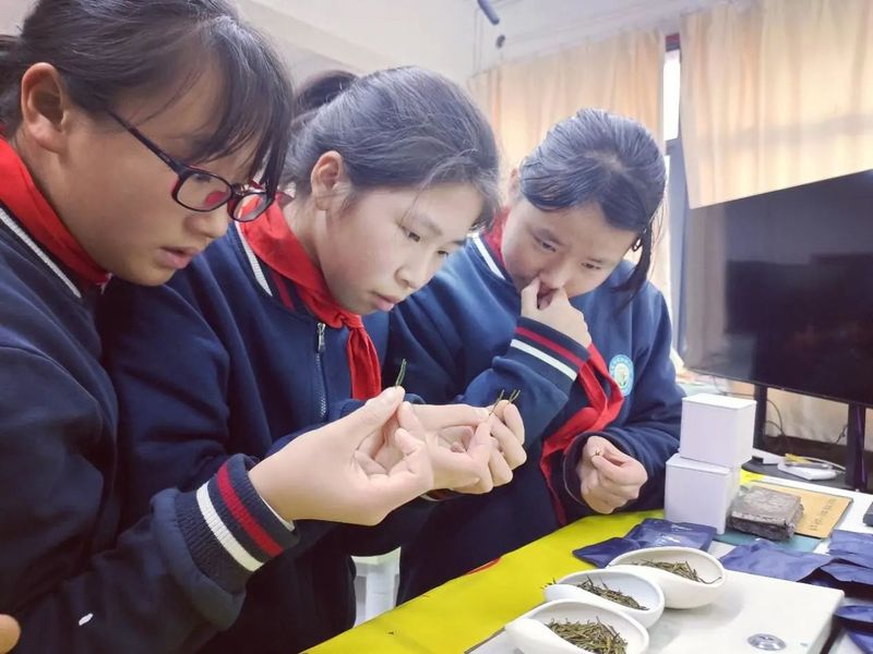 有关于茶和天下 共享非遗，西施IP与茶非遗的联动！诸暨市开展“西施石笕”茶文化系列活动的信息(2)