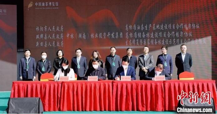 关于湖南祁阳打造中国油茶博览馆 力推油茶产业高质量发展的信息(1)