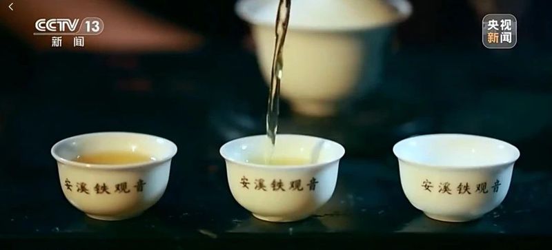 关于央视聚焦安溪铁观音申遗成功的内容(3)