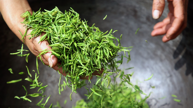 有关于一周热门：“非遗”茉莉花茶、对话茶申遗亲历者、深圳秋季茶博会的内容(2)