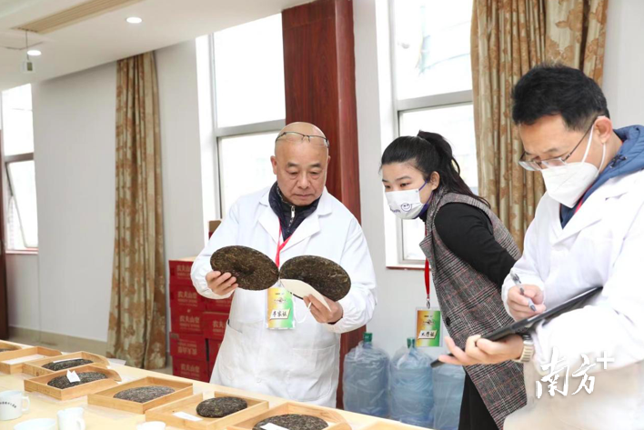 关于“茶王”候选即将出炉!中国首届斗茶大赛预赛强势来袭的相关内容(7)