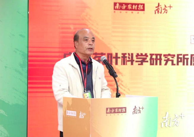 关于“茶王”候选即将出炉!中国首届斗茶大赛预赛强势来袭的相关内容(5)