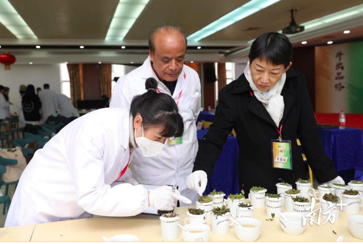 关于“茶王”候选即将出炉!中国首届斗茶大赛预赛强势来袭的相关内容(12)