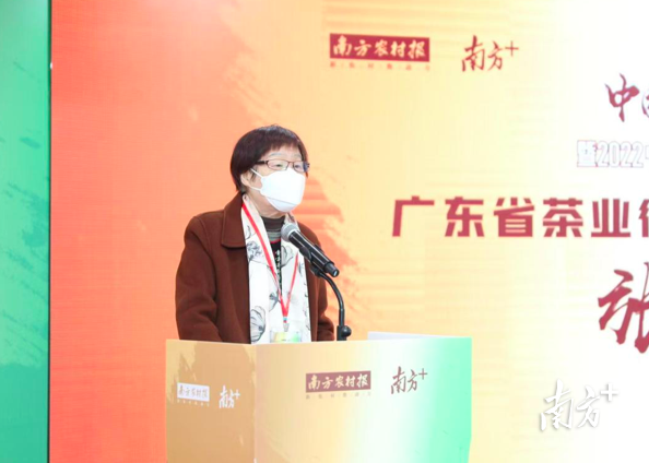 关于“茶王”候选即将出炉!中国首届斗茶大赛预赛强势来袭的相关内容(4)