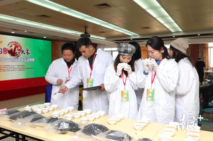 关于“茶王”候选即将出炉!中国首届斗茶大赛预赛强势来袭的相关内容(8)