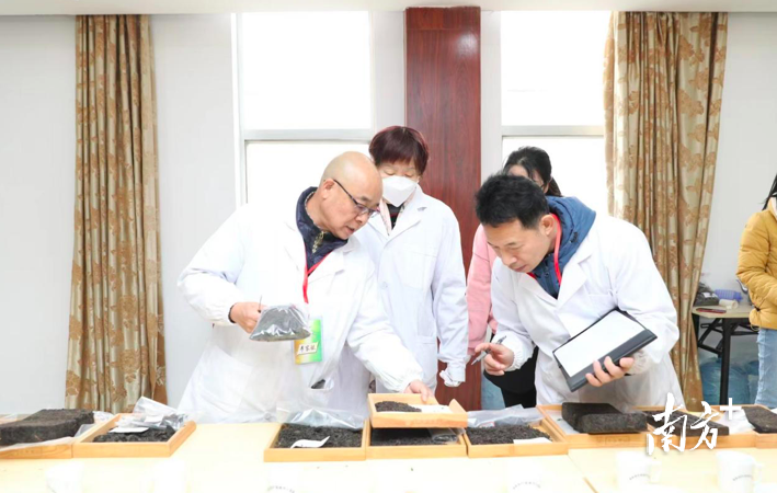 关于“茶王”候选即将出炉!中国首届斗茶大赛预赛强势来袭的相关内容(10)
