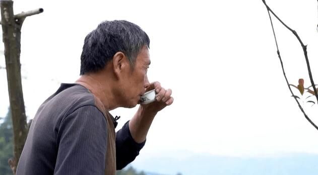关于匠心续写新茶事——青龙茶传统制作技艺 的信息(6)