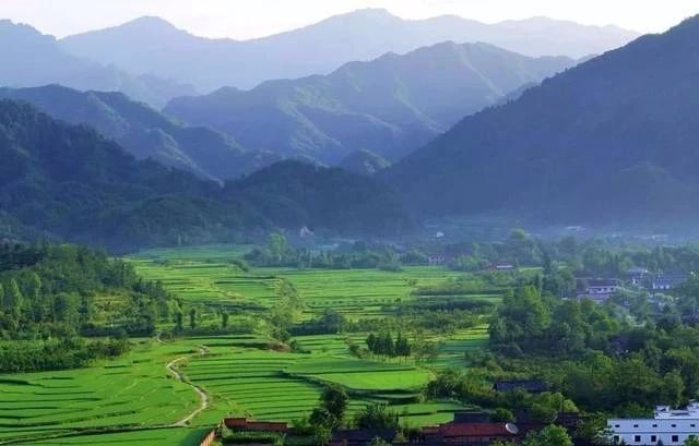 关于汉中第二批生态茶园风采——宁强、略阳、洋县篇的资讯(7)