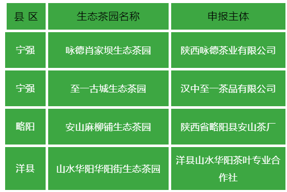 关于汉中第二批生态茶园风采——宁强、略阳、洋县篇的资讯