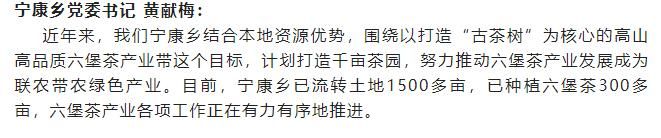 有关于䕨县计划今冬明春建设生态茶园2.5万亩的新闻(8)