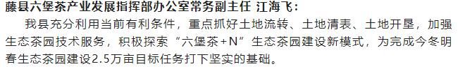 有关于䕨县计划今冬明春建设生态茶园2.5万亩的新闻(12)