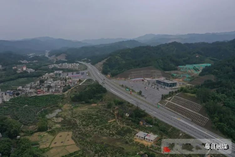 有关于䕨县计划今冬明春建设生态茶园2.5万亩的新闻(10)