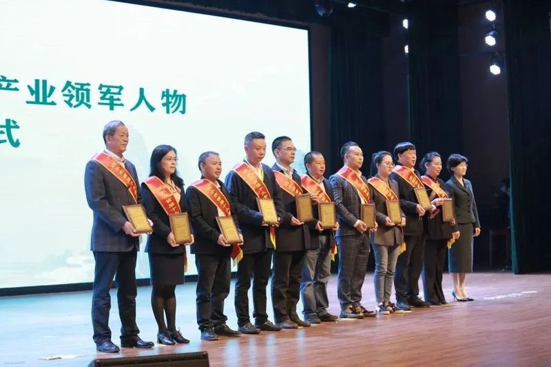 有关于中国·丽水首届“三茶统筹 助力共富”活动暨丽水荒野茶发布仪式举行的信息(6)