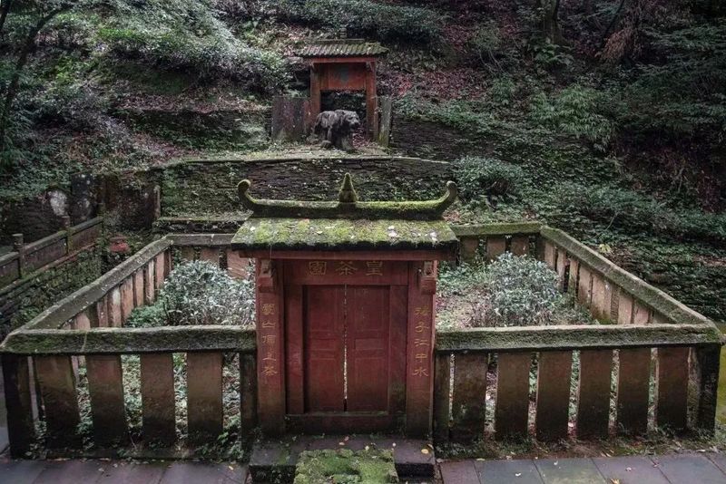 有关于2023茶旅研学趋势讲座分享会 , 12月1日,共探“茶的生物多样性与文化多元性”的内容