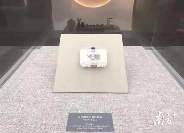 关于秦巴苍茫,汉水悠广,陕茶传千年的相关内容(2)