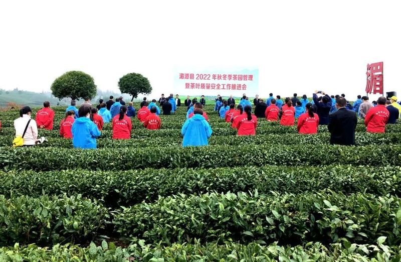 关于一周茶事 ：白茶产业升级获福建省科学技术奖；2022中国厦门国际茶博览会的资讯(1)