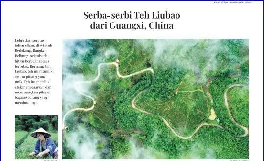 关于一周茶事 ：白茶产业升级获福建省科学技术奖；2022中国厦门国际茶博览会的资讯(7)
