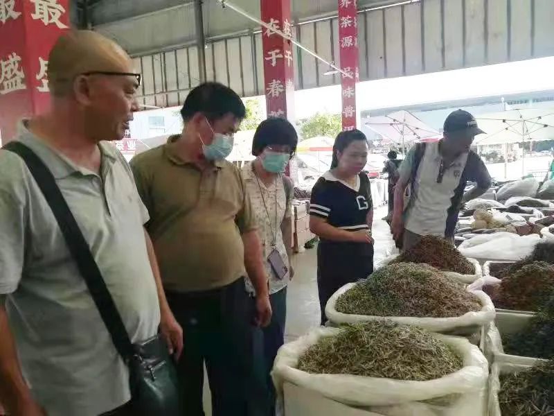 关于国家茶叶产业技术体系育种技术岗位科学家到普洱综合试验站调研指导的新闻(2)