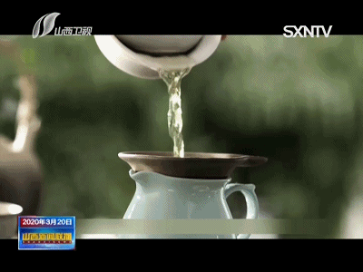 有关于山西药茶：终将成为中国第七大茶系的资讯(2)