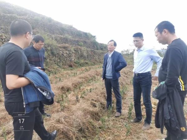 有关于浙江省团队科技特派员秋冬季茶园施肥与养护工作指导的信息
