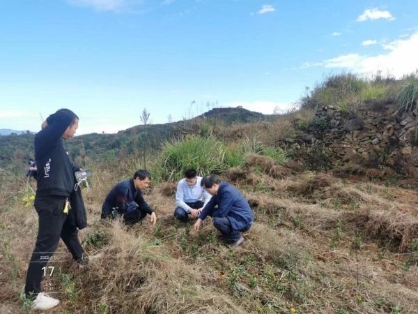 有关于浙江省团队科技特派员秋冬季茶园施肥与养护工作指导的信息(1)