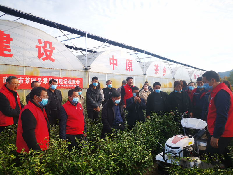 关于南阳市生态茶园建设暨茶园冬季管理技术培训会在桐柏县举办的消息(1)